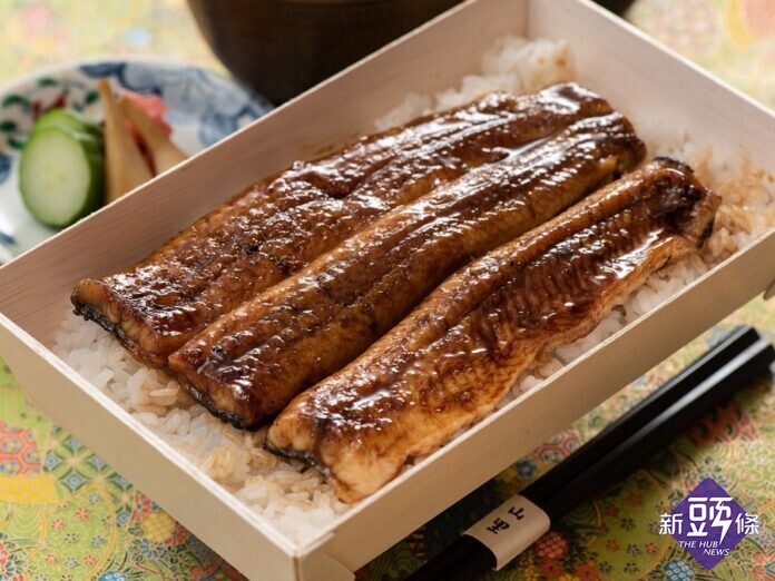 消暑補體力！夏日必吃鰻魚飯  山里日本料理「土用丑日」特上鰻重特典