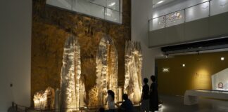 ▲科博館典藏重達5噸、高3公尺的鐘乳石林矗立其中，相當壯觀，也塑造鐘乳石原生的洞穴景觀，得以理解鐘乳石生長脈絡，是此次亮點展品之一。（記者廖家賢翻攝）