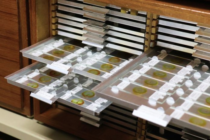 103007-668842660278887353091624006449507165-273968632280257857618704890470