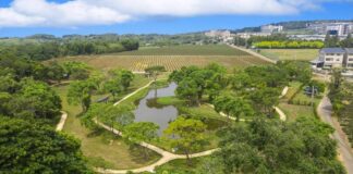 八甲茶文化園區結合科技農業及景觀休憩功能，榮獲建築園冶獎等多獎項讚賞。（圖/水土保持局）