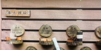 三義「茅鄉炭坊」利用製作精油剩下的廢木屑，再利用做成香茅薰香棒、肖楠木料隨手杯等多款產品。(圖/記者林均和攝)