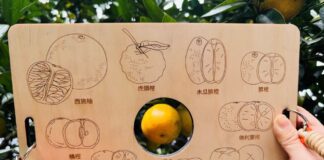 解說牌讓參加農遊遊客深刻認識東勢在地休區特色。（圖/記者林均和攝）