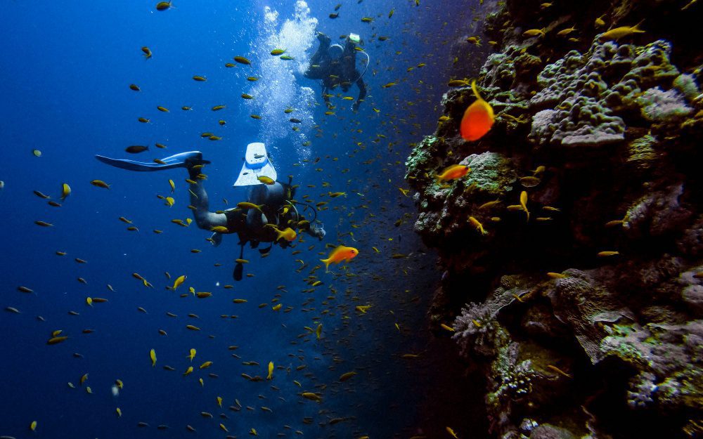 探索小琉球：潛水者的夢幻天堂