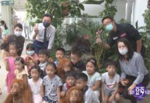 紅毛猩猩貝比化身標本 9月啟動生命教育巡迴校園