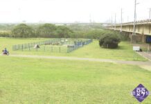 頭前溪堤外高灘地整合規劃 打造親子休憩新綠帶