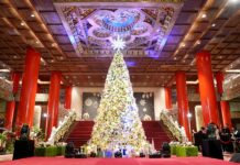 圓山施展冬日魔法 一秒走進夢幻聖誕場景