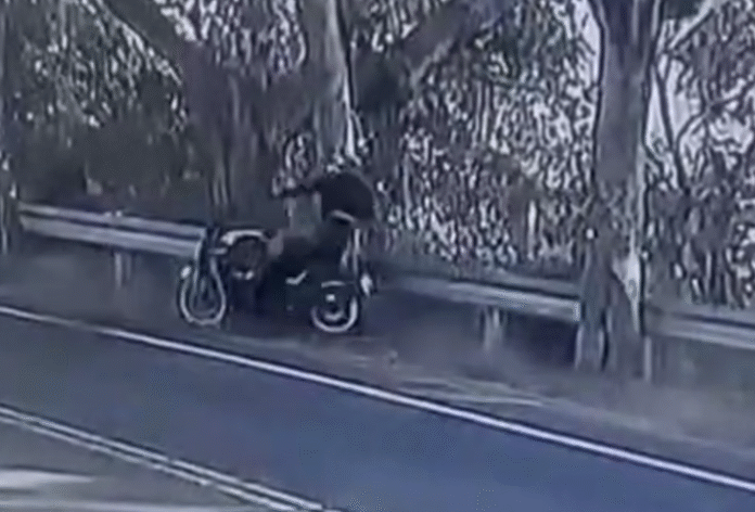 108303-075613309791929898866722992673067879096752596309920944062589735