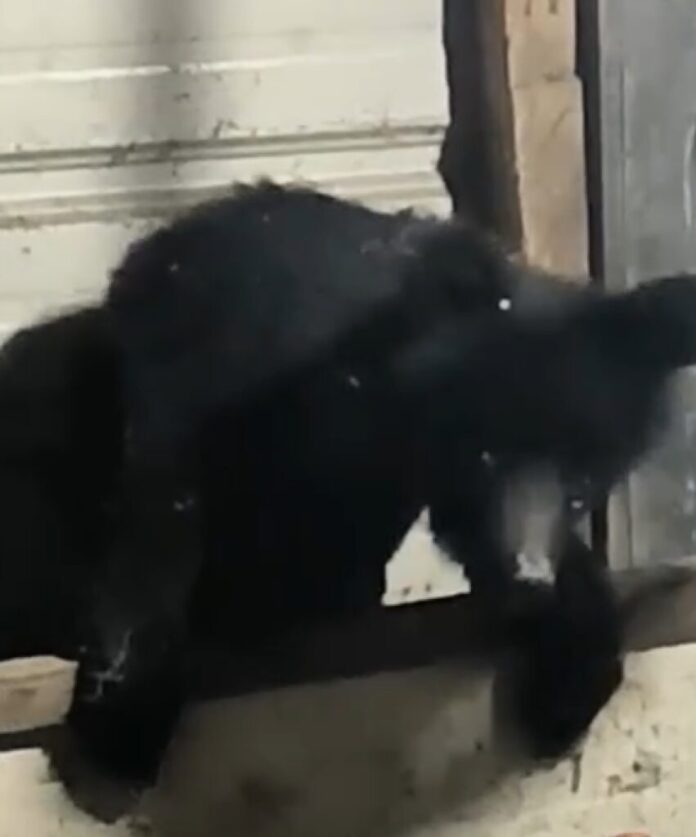 111626-714723418957812020396497269408411277258965471732531536538830026