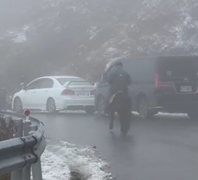 117178-425852832757271867098981038080239089268214910947508525240031879845