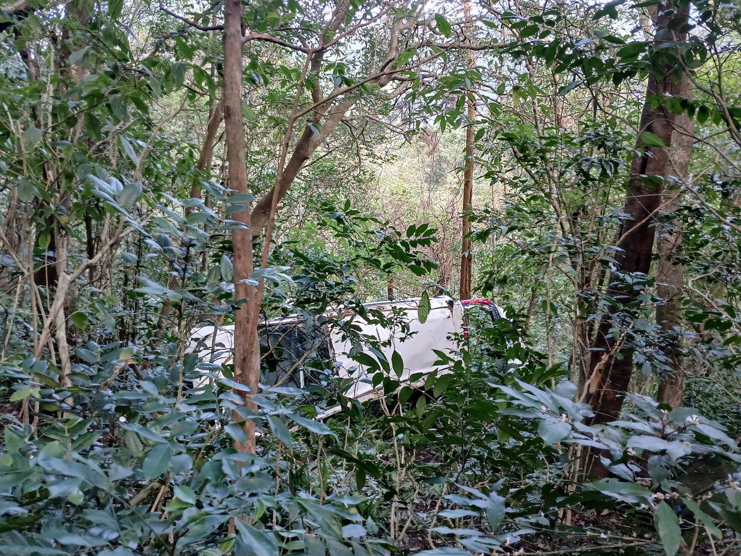 許姓女駕駛自述，事故發生的原因疑為車輛「煞車」失靈，她在左轉彎時無法減速，導致車輛直接暴衝並衝落山谷。