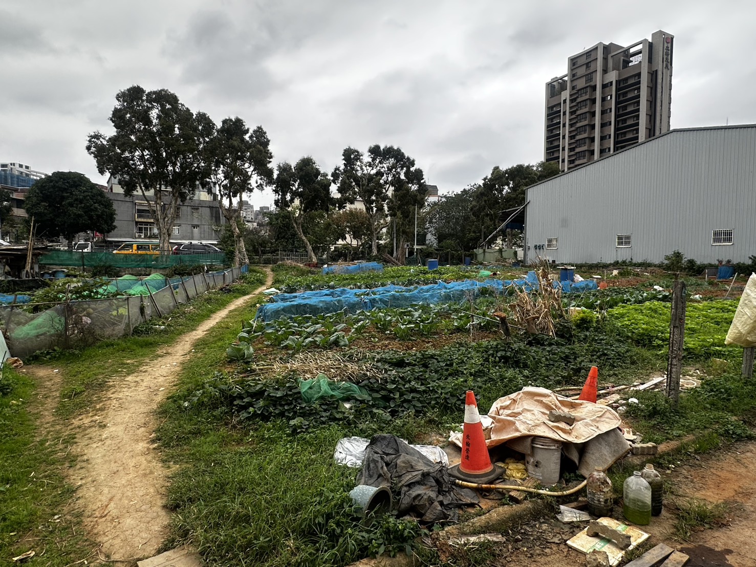 新北市林口區今（18）日早晨傳出驚悚砍人案件。