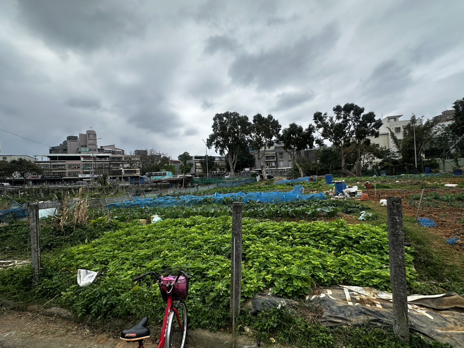 陳姓老翁正在菜園內辛勤農作，與葉男因故發生口角，葉男在爭執中突持利刃朝陳翁猛砍，造成陳翁左胸中2刀、左側身1刀及左手臂1刀。