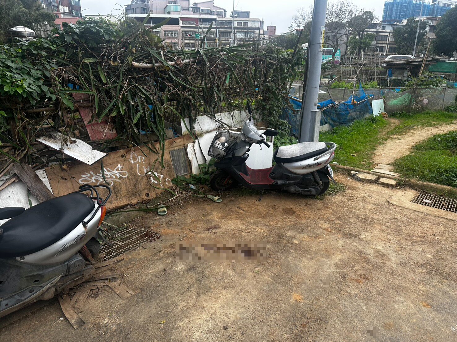 菜園現場地上留有陳姓老翁斑斑血跡。