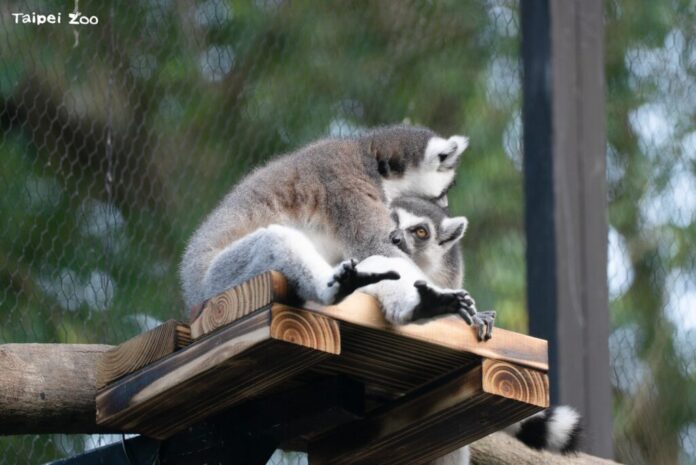 53a78200-b397-4dee-a3a7-697495107031-1024x684-1