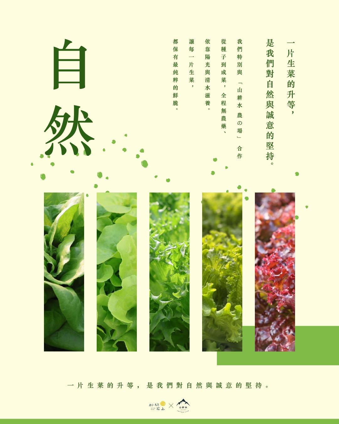 松間石上用一盤菜，種下對土地與客人的承諾