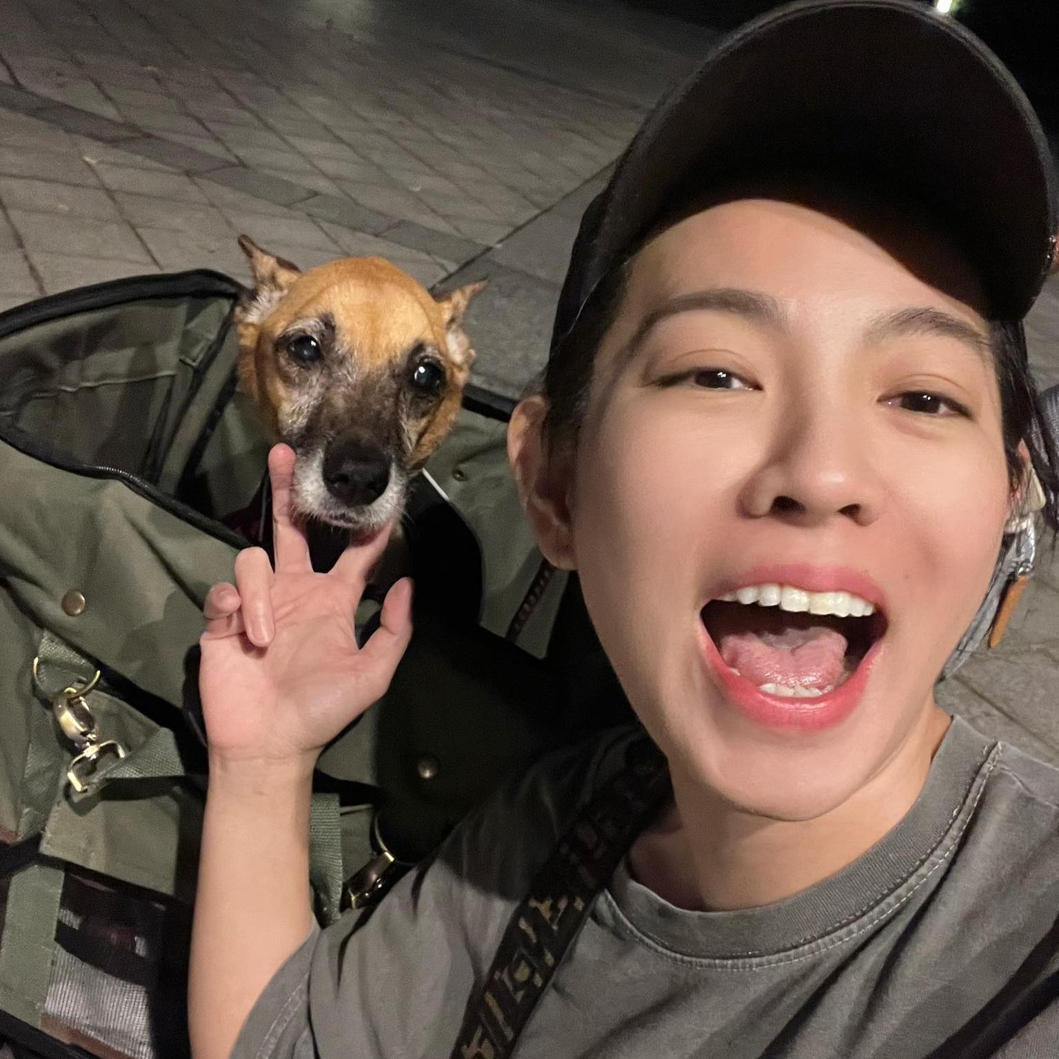 米可白分享人人犬舍內犬隻的狀況。（圖／翻攝米可白臉書）