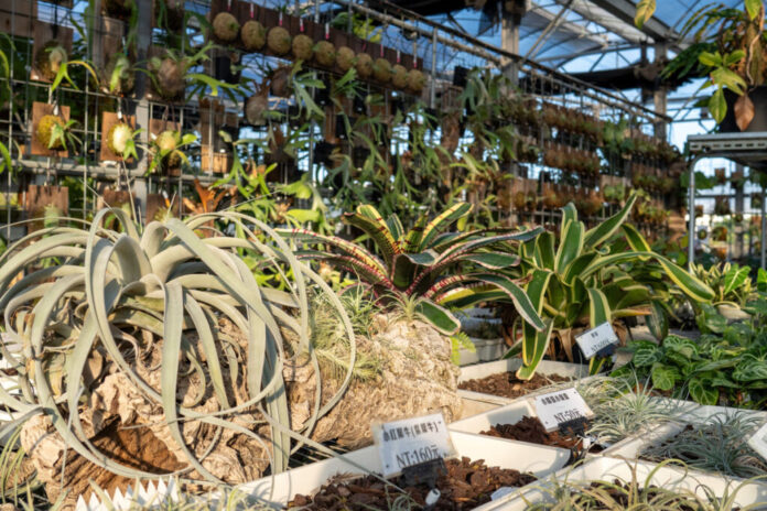 7b25c6ae-6518-429e-9d8d-f5a2fd604de9-1024x683-1