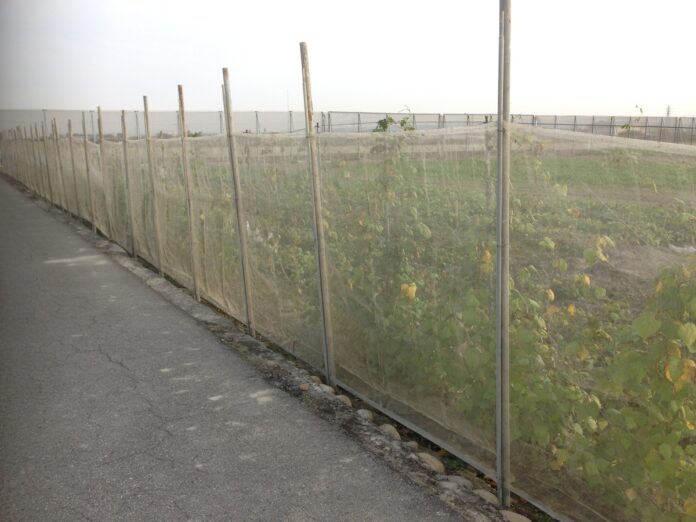 D6Skx344l2DTiNqZXdZd