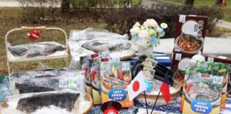 龍虎斑料理-全魚、魚片、魚下巴等分切部位，都能輕鬆變化出豐富家常風味。(圖/農業部漁業署)