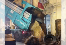 影音/法國牛結節疹疫情蔓延 防疫政策引爆農民怒火