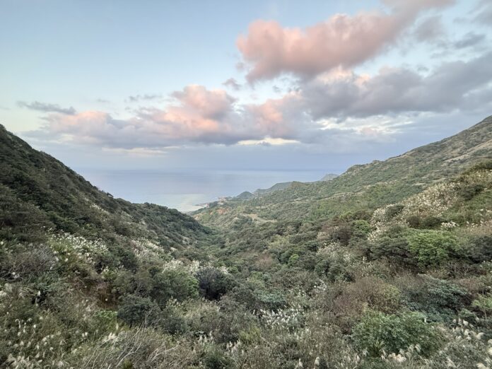 Kc4QT6MiMHsKxPDrNCik