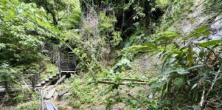 ▲10號步道邊坡大範圍坍塌及掏空沖刷。（記者廖家賢翻攝）