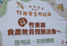 體驗焢窯、逛市集 竹東黃金地瓜節周末登場