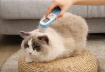 PetiMeti以「守護它 從家開始」的品牌願景 於台北寵物節發表智能體溫按摩梳 重新定義寵物居家照護