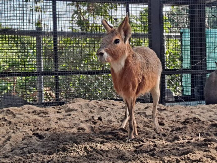 a2c6c8847658d9091223b1ef7aab315b362026ce