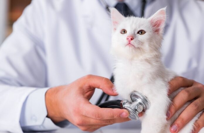 jcKXs2RljsFoUgiYsGzE