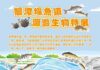 新北碧潭堰魚道特展12/13-12/14登場 揭開秋冬洄游生物的生態奧秘