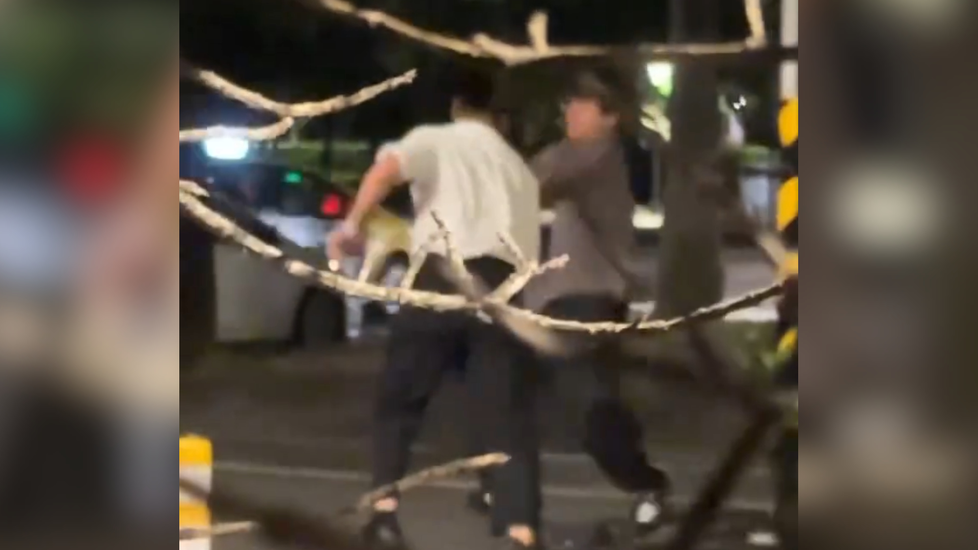 31歲賴姓子男子酒後亂性，在街頭隨機挑釁找人互毆，與25歲吳姓產生口角進而互毆。