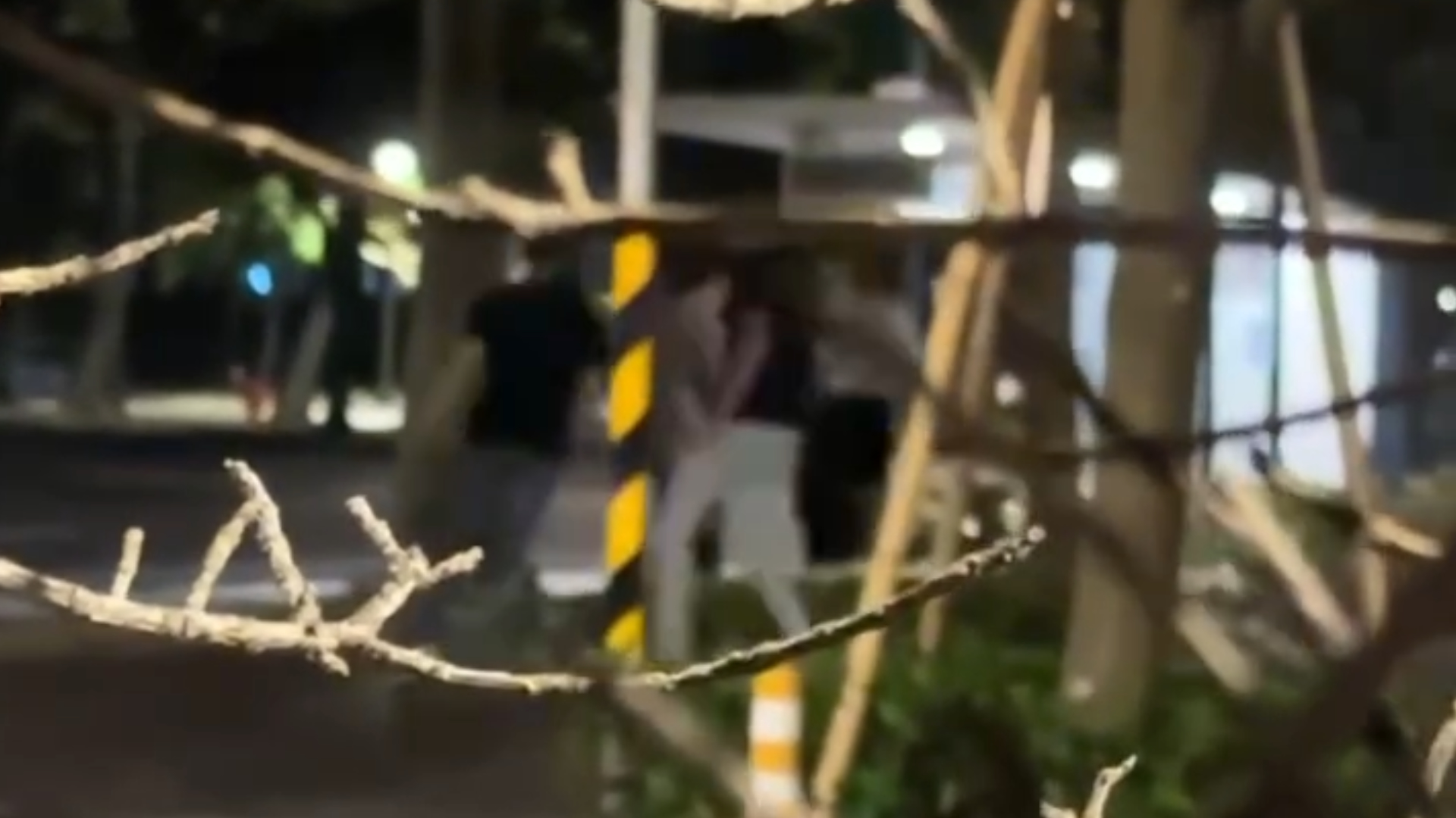 21歲的張姓男子與24歲的魏姓男子路過，見狀想上前勸架。