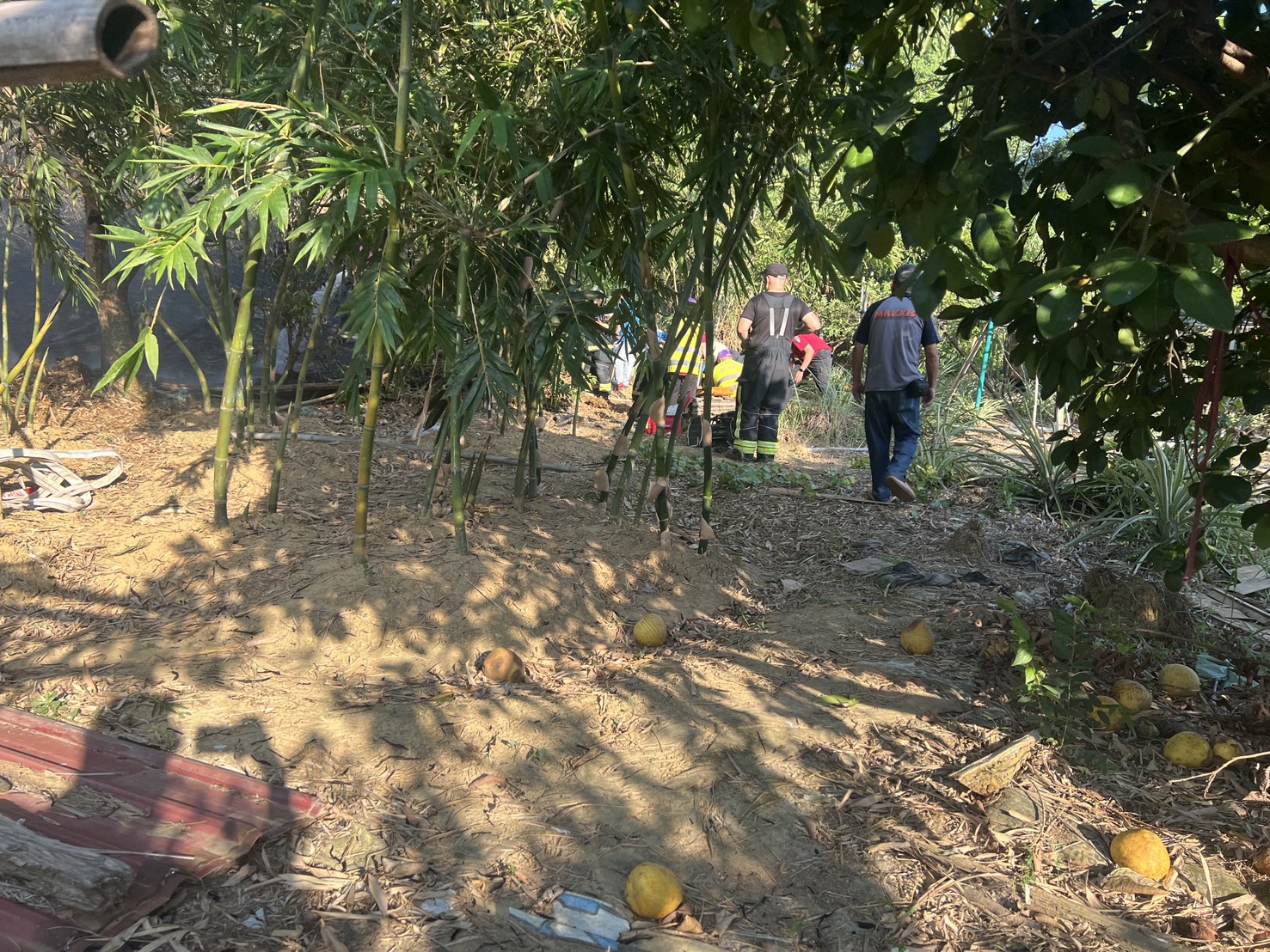 消防人員撲滅火勢後，驚見徐姓老農倒臥在火堆餘燼中。