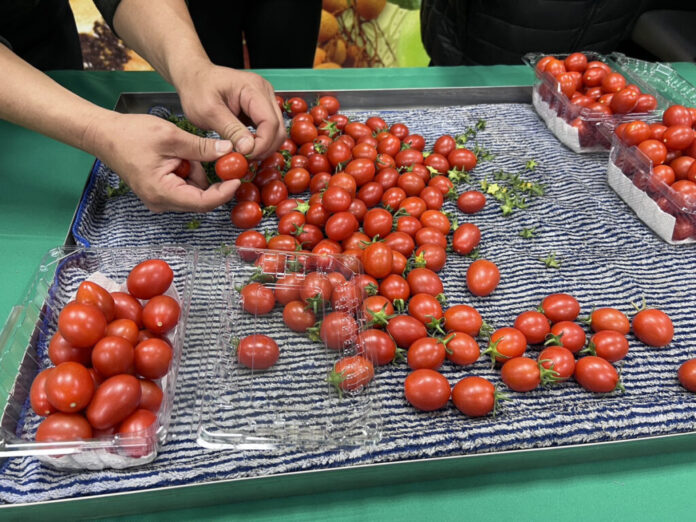 18a8bd4a-ed7f-4de7-921c-89a157896122-1024x768-1