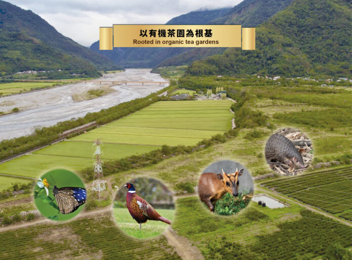 521Q0CpTuwdVEpp4GI76