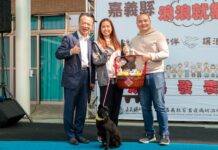 嘉義縣獨創「浪浪就業服務站」 流浪犬轉型好夥伴不再被安置