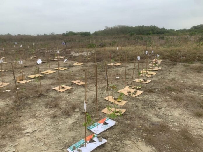 b13f90a6-7c04-415d-a801-d05e2c326bdc-1024x768-1