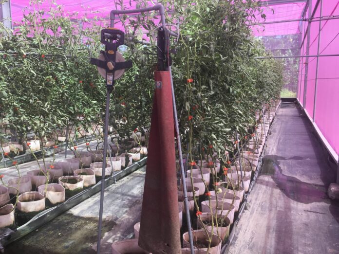 ea1d86c35f0ed6f6e8a31386ba58cc8d-scaled-1