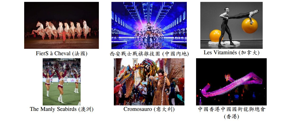 中國內地及國際表演隊伍