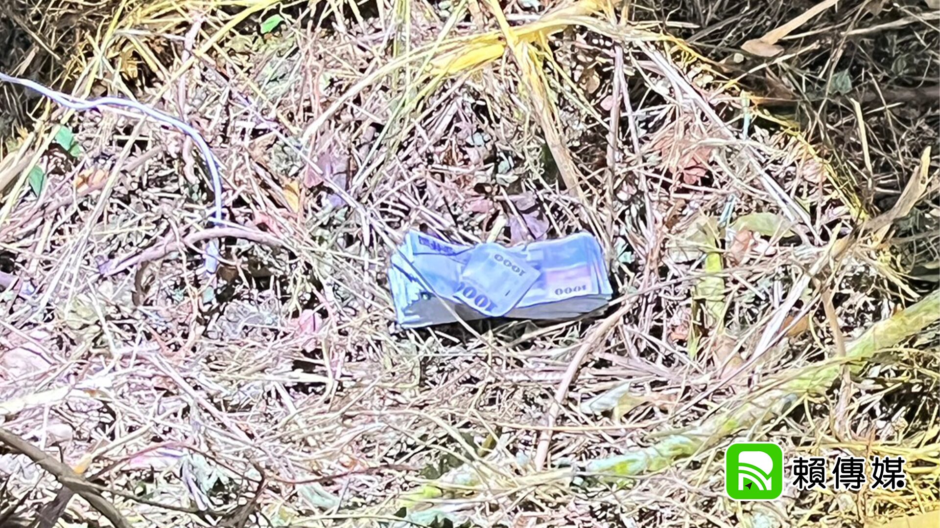 ▲邊坡草叢竟掉出兩疊千元鈔（圖／民眾提供）