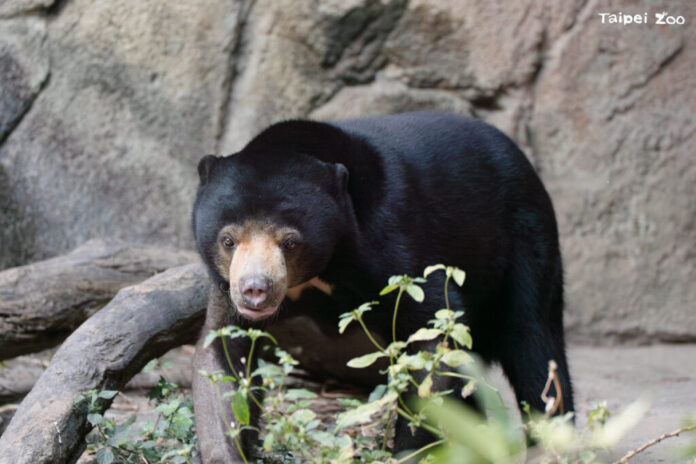 1a3a88a0-06a0-46e8-b09d-909969e37ba3-1024x683-1