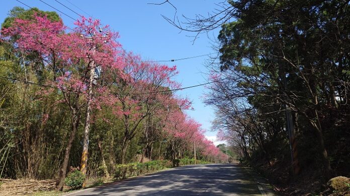 1a72242d717603edde86ce05b8c5967bc6862eec