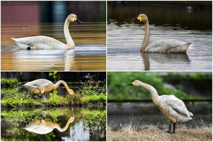 3Dg4lIbfOnAAA8K1t37X