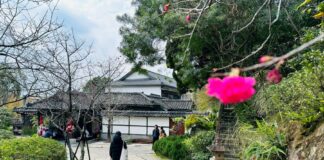 百年日式木造建築-北投文物館見證北投百年溫泉文化風華。(圖/記者林均和攝)