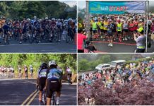 影音/體驗爬升運動與大自然野趣 太平山體育活動歡迎踴躍報名