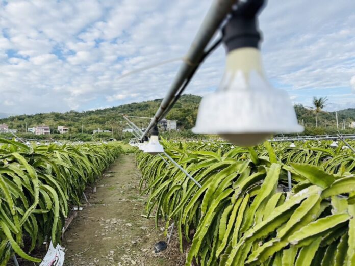 e7996419-d421-4c44-af93-5e8263a8645d-1024x768-1