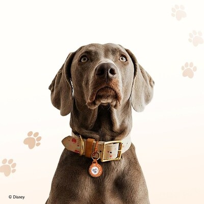 Belkin 迪士尼動物方城市 AirTag 保護套全新上市