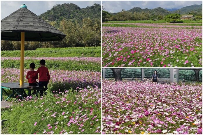 pN9jUMNlraAWm54xh9WZ