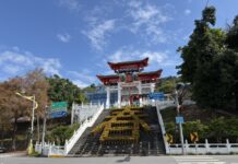 忠烈祠春風送暖迎新歲 10米寬黃雛菊「春」字綻放